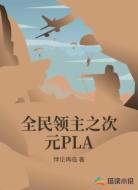 全民领主之次元PLA