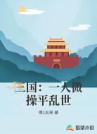 三国:一人微操平乱世