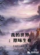 我的世界：原味生存