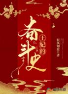 王妃的奋斗史