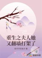 重生之夫人她又翻墙打架了