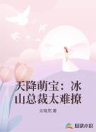 天降萌宝：冰山总裁太难撩