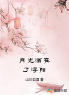 月光灑在了潯陽