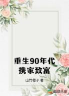 重生90年代携家致富
