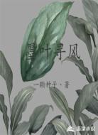 墨叶寻风