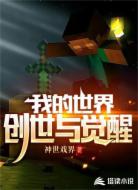我的世界创世与觉醒