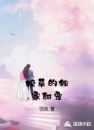 校草的独家甜宠