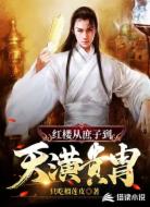 红楼从庶子到天潢贵胄