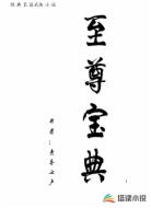至尊宝典