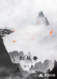 剑从去