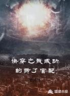 快穿之我成功的拆了官配