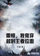 震惊,我竟穿越到王者位面