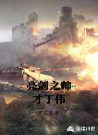 亮剑之帅才丁伟