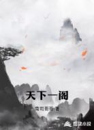 天下一阁