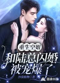 重生空姐，和陆总闪婚被宠爆了