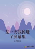 某一天我掉进了屏幕里