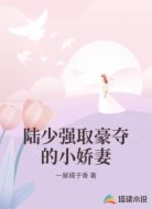 陆少强取豪夺的小娇妻