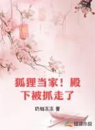 狐狸当家!殿下被抓走了