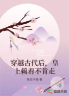穿越古代后，皇上赖着不肯走
