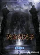 天命阴天子