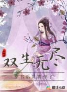 双生无尽:穿书后我震惊了