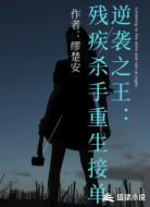 逆袭之王:残疾杀手重生接单
