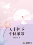 天上掉下个林弟弟