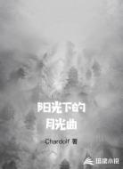 阳光下的月光曲