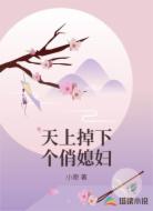 天上掉下个俏媳妇
