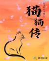 貓貓傳
