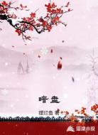 暗盘