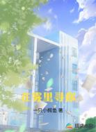 在雾里寻你