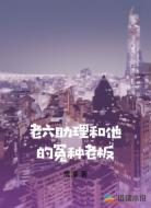 老六助理和他的冤种老板
