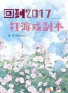 回到2017,打游戏副本