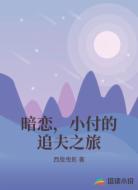 暗恋，小付的追夫之旅