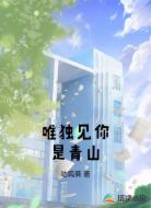 唯独见你是青山