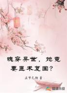 魂穿异世,她竟要医术复国?