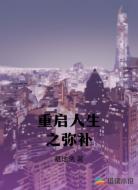 重启人生之弥补