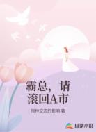 霸总,请滚回A市