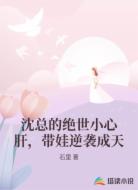 沈总的绝世小心肝,带娃逆袭成天