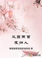 风霜雨雪夜归人