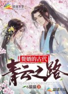 赘婿的古代青云之路