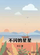 不闪的星星