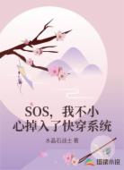 SOS，我不小心掉入了快穿系统