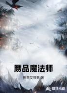 赝品魔法师