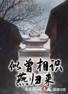 似曾相似燕归来