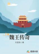 魏王传奇
