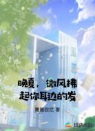 晚夏，微风拂起你耳边的发