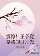 震惊！王爷竟是我的白月光