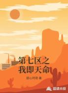 第七区之我即天命